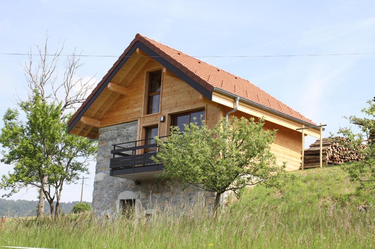 Le Chalet Des Pierres Viuz-en-Sallaz Dış mekan fotoğraf