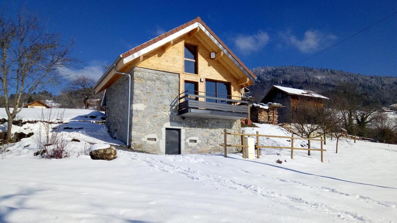 Le Chalet Des Pierres Viuz-en-Sallaz Dış mekan fotoğraf