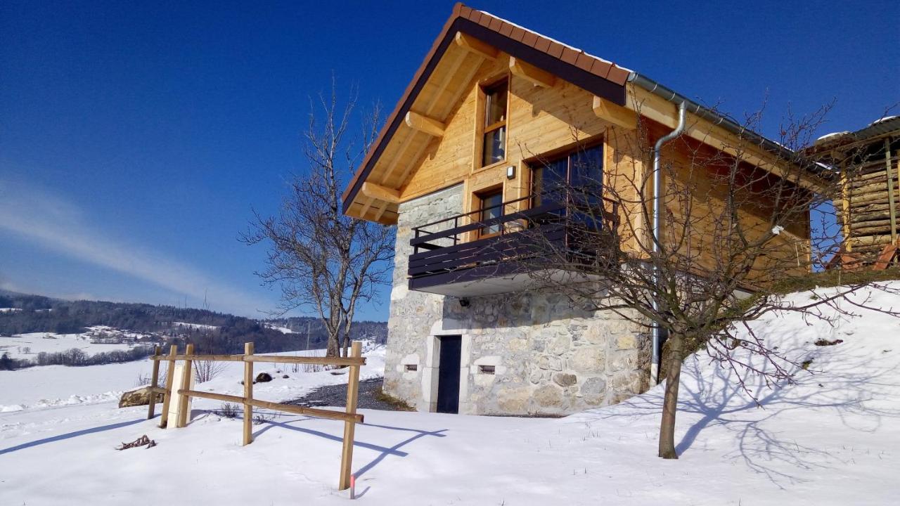 Le Chalet Des Pierres Viuz-en-Sallaz Dış mekan fotoğraf